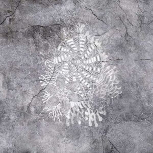 Tapeta NAUTILUS